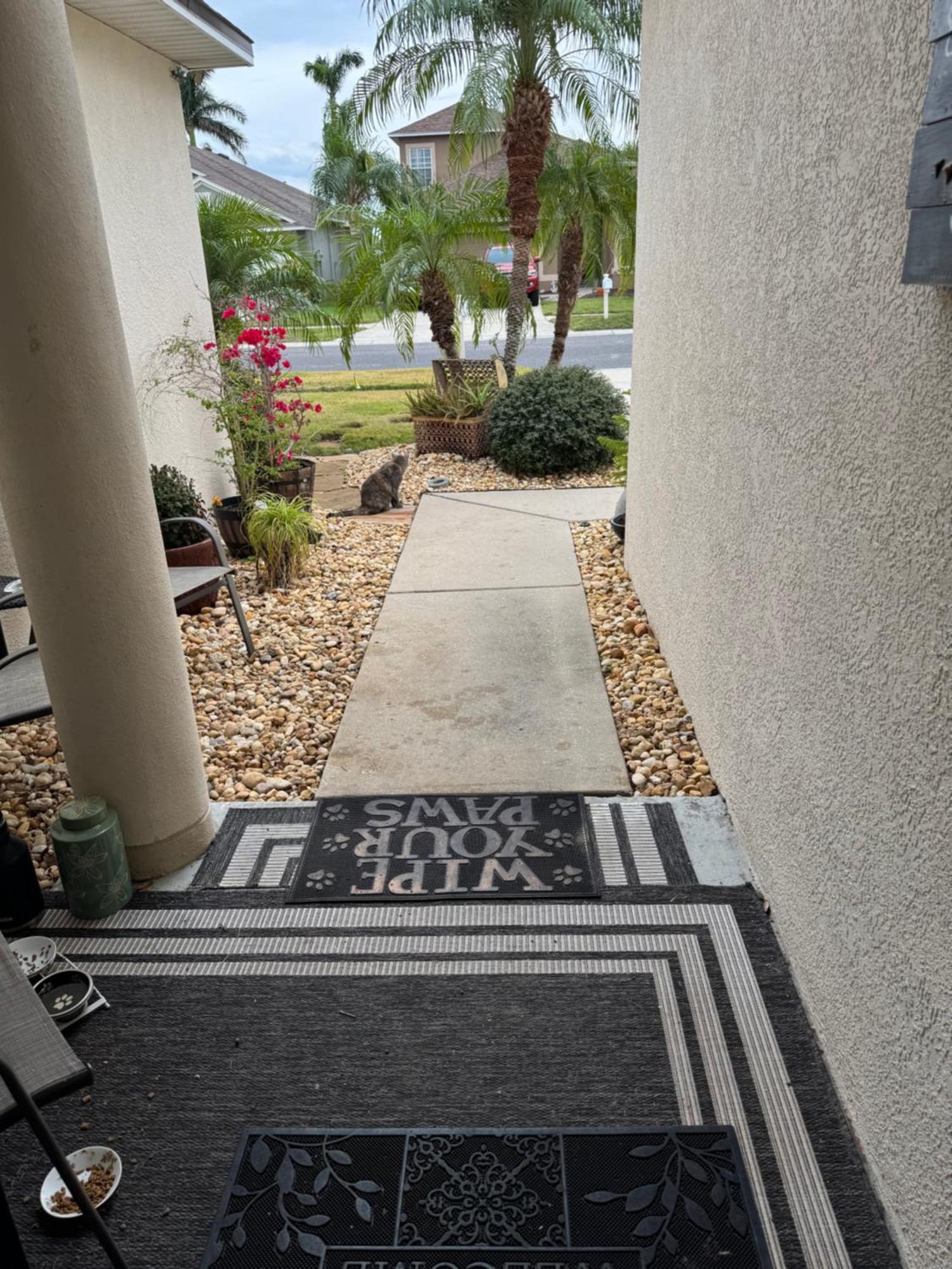 Ruskin Fl Private 2 Bdrm 1 Bath Suite Common Areas Shared With Host And Cat Экстерьер фото