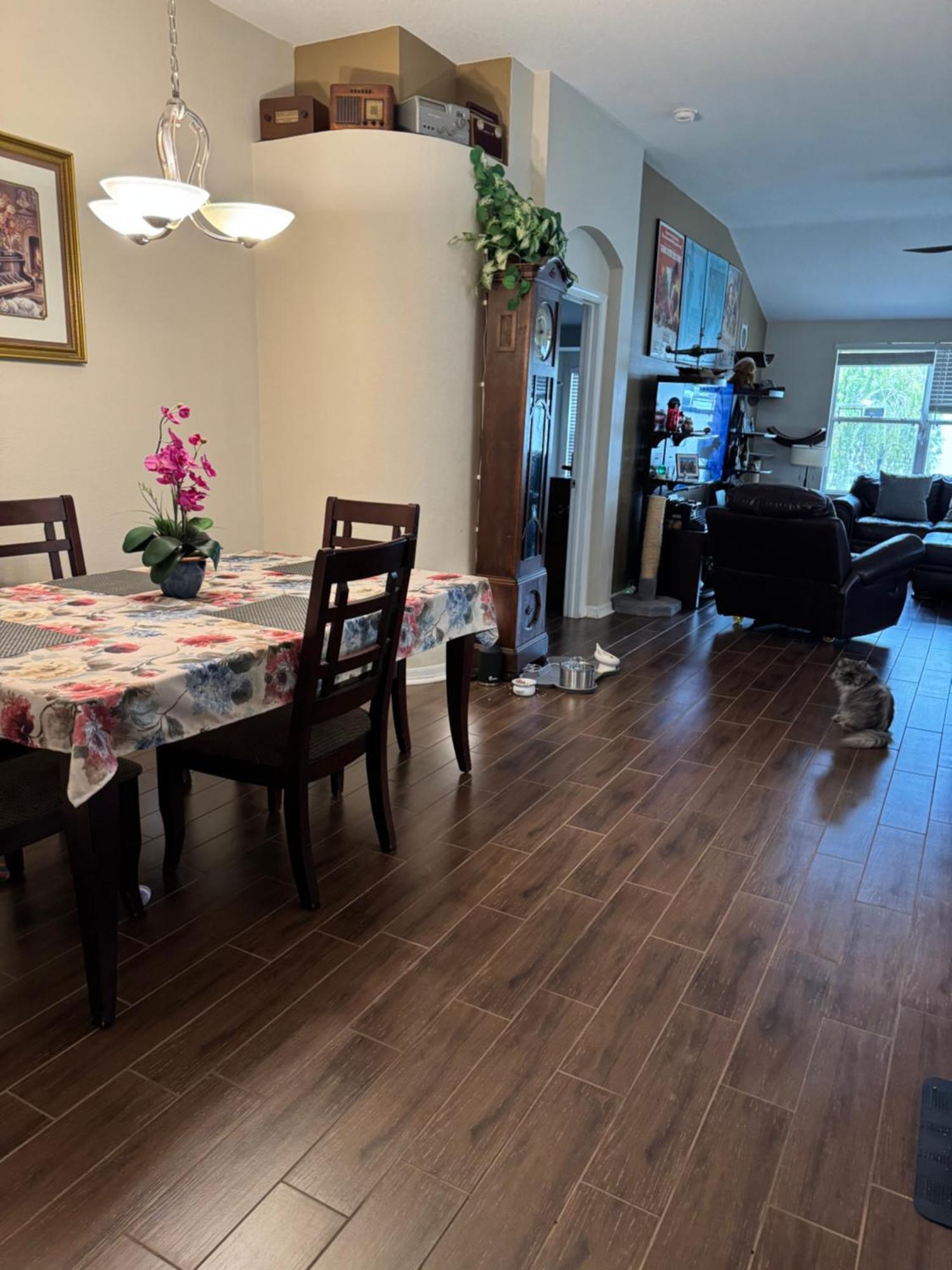 Ruskin Fl Private 2 Bdrm 1 Bath Suite Common Areas Shared With Host And Cat Экстерьер фото
